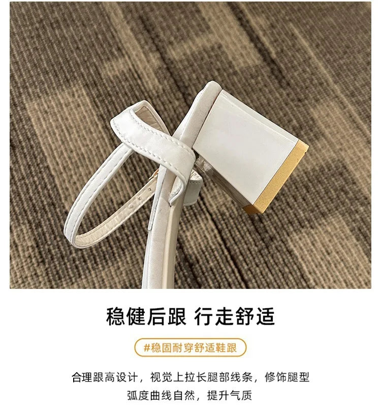 {{ product.title }} - {{ product.type }} - {{ shop.name }} {{ product.title }} - {{ variant.title }} - {{ shop.name }} {{ product.title }} - Size {{ variant.option1 }} - {{ shop.name }}