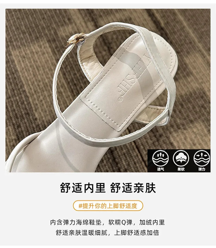 {{ product.title }} - {{ product.type }} - {{ shop.name }} {{ product.title }} - {{ variant.title }} - {{ shop.name }} {{ product.title }} - Size {{ variant.option1 }} - {{ shop.name }}